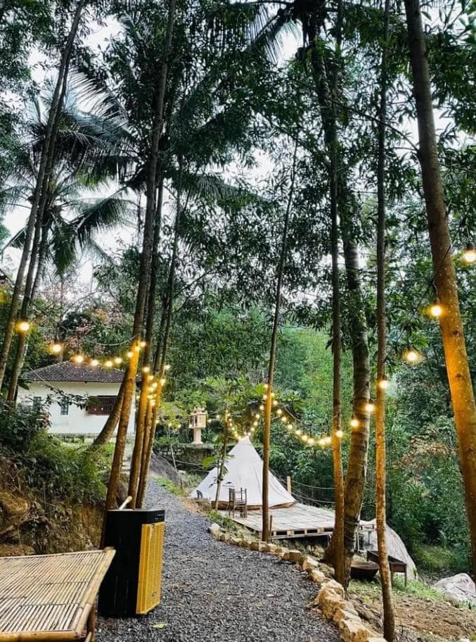 Review Kinh Nghiệm Cắm Trại Ở Kong Forest Từ A Đến Z 2023