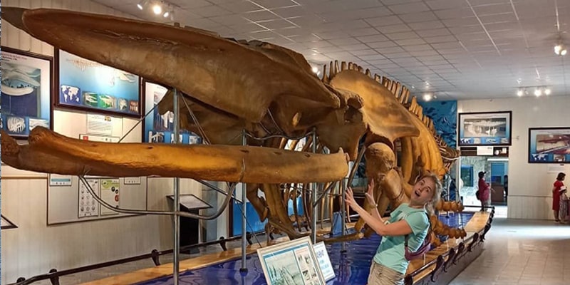 1 ngày ở nha trang nên đi đâu