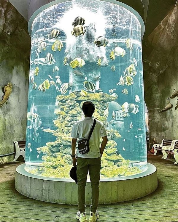 1 ngày ở nha trang nên đi đâu